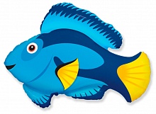 FM фигура 902770 Рыба-голубая МИНИ 14" фольгированный шар